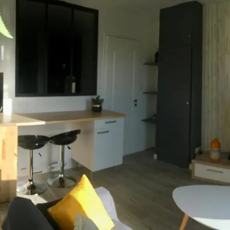 T1 Bis Hyper Centre, Jolie Vue Balcon, Commerce, Bus A 50 M, Parking Apartment Castanet-Tolosan